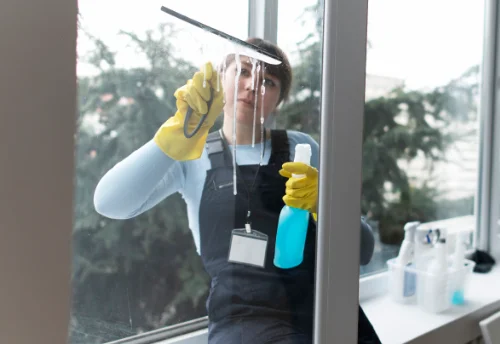 Nettoyage de vitres intérieures et extérieures à Meures